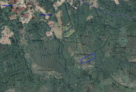 O Covelo 4955&nbsp;m²