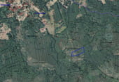 Non-developable land for sale on O Covelo, ref: TR93016 photo