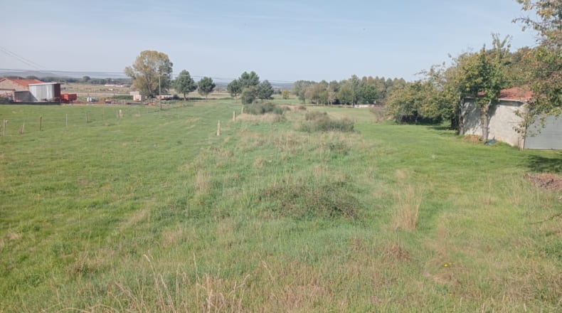 Orense - Trasmiras - 2130m2