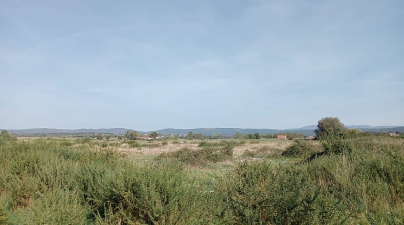 Orense - Trasmiras - 15655m2