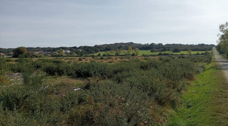 Orense - Trasmiras - 15655m2
