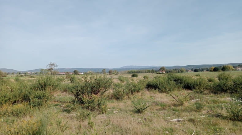 Orense - Trasmiras - 15655m2
