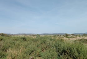 Trasmiras 15655&nbsp;м²