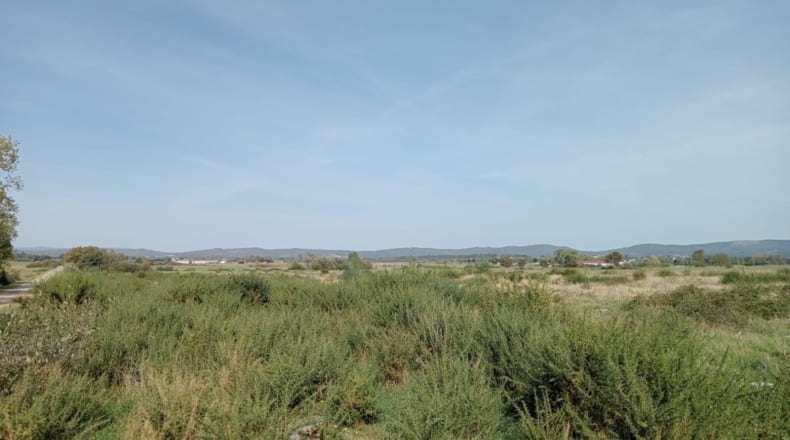 Orense - Trasmiras - 15655m2