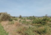 Земля на продажу у города Trasmiras Фото