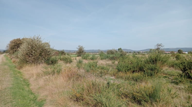 Orense - Trasmiras - 15655m2
