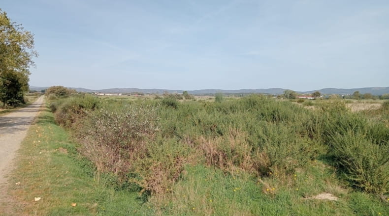 Orense - Trasmiras - 15655m2