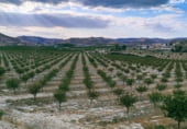 Finca rústica en venta en la Llanos de los Torcales, Huélago, ref: TR93023 foto