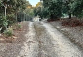 Дом с участком на продажу в городе El Pinar Фото