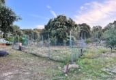 Дом с участком на продажу в городе El Pinar Фото