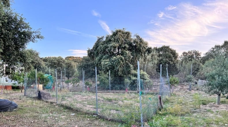 Toledo - El Pinar - 8500m2