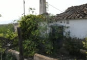 Finca rústica en venda a la Via Muñoces, Los Muñoces, ref.: TR93066 foto