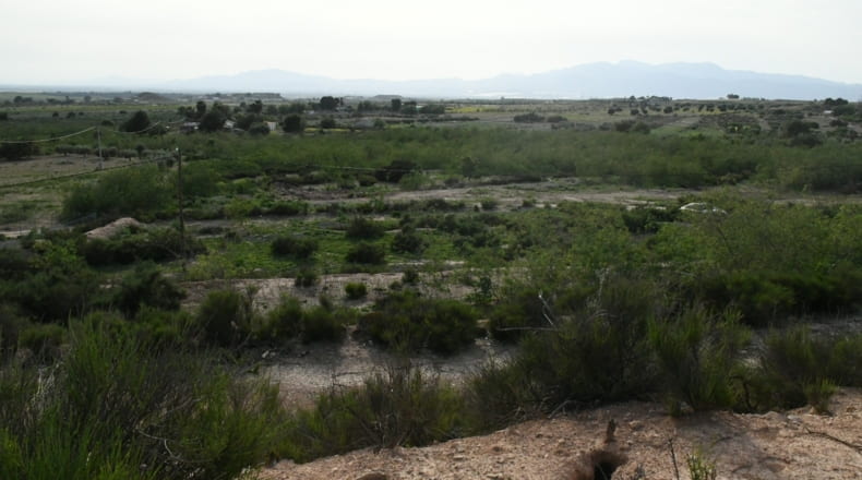 Murcia - Los Muñoces - 33000m2