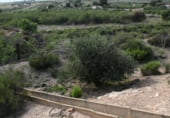 Finca rústica en venda a la Via Muñoces, Los Muñoces, ref.: TR93066 foto