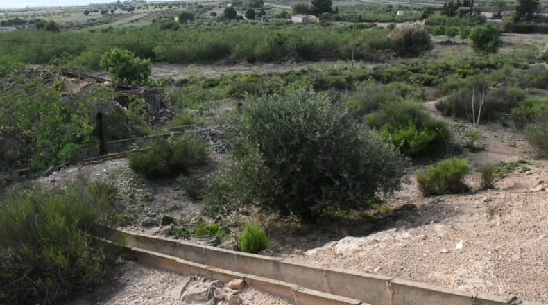 Murcia - Los Muñoces - 33000m2