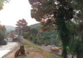 Parcela urbanizable en venta en la Serra Brava, ref: TR93064 foto