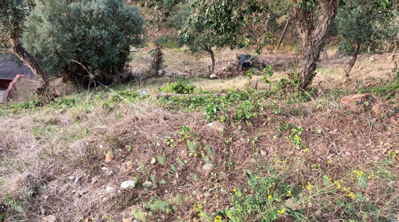Gerona - Serra Brava - 800m2