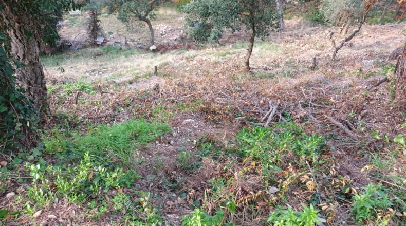 Gerona - Serra Brava - 800m2