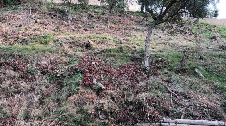 Gerona - Serra Brava - 800m2