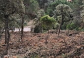 Земля, подлежащая урбанизации на продажу у города Serra Brava Фото