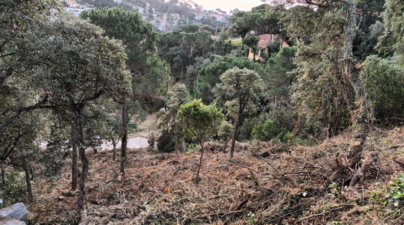 Gerona - Serra Brava - 800m2