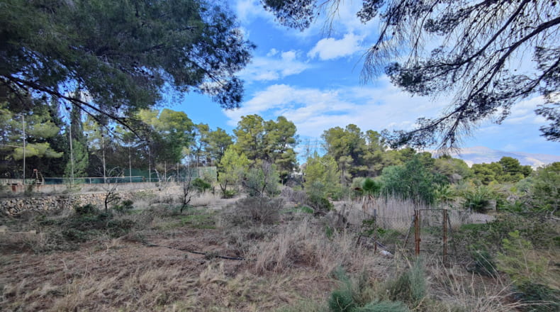 Alicante - Alfaz del Pi - 17230m2