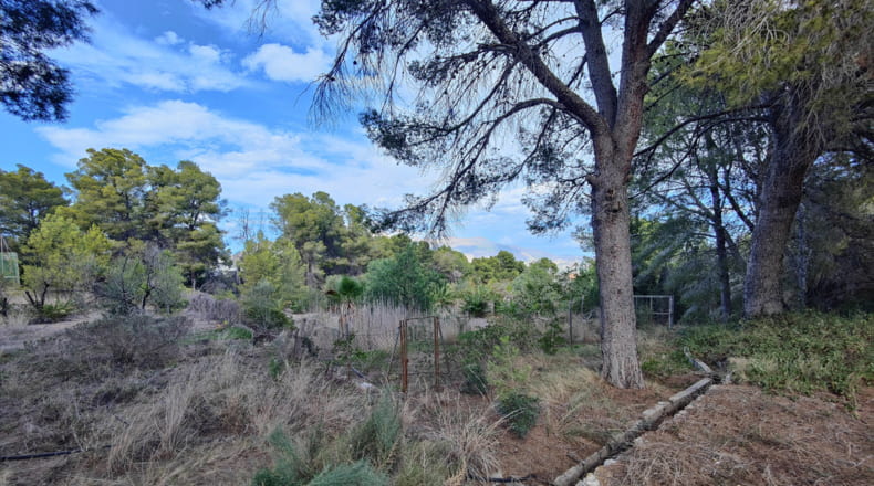 Alicante - Alfaz del Pi - 17230m2