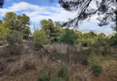 Terreny no urbanitzable en venda a la Calle Pintor Rembrandt, l'Alfàs del Pi, ref.: TR93072 foto