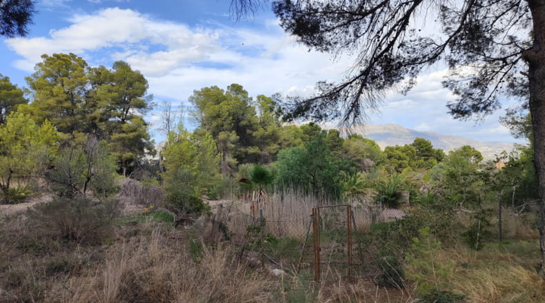 Alicante - Alfaz del Pi - 17230m2
