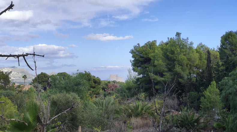 Alicante - Alfaz del Pi - 17230m2