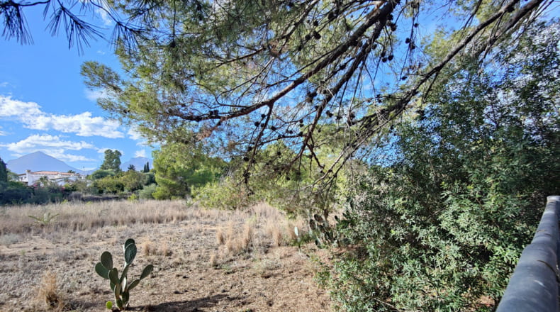 Alicante - Alfaz del Pi - 17230m2