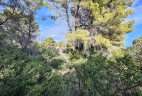 Foto 15