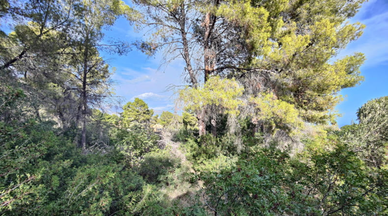 Alicante - Alfaz del Pi - 17230m2