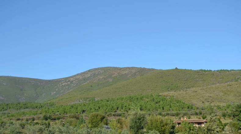 Cáceres - Acebo - 75000m2