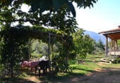 Country house with land for sale on El Tejar n1, Acebo, ref: TR93137 photo