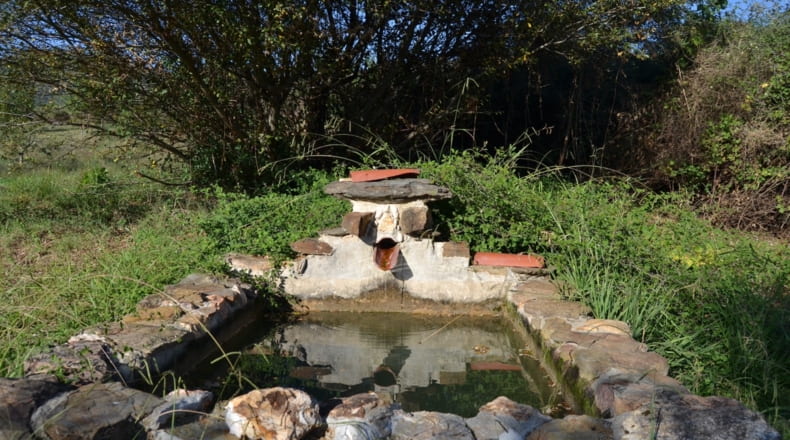 Cáceres - Acebo - 75000m2