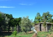 Country house with land for sale on El Tejar n1, Acebo, ref: TR93137 photo