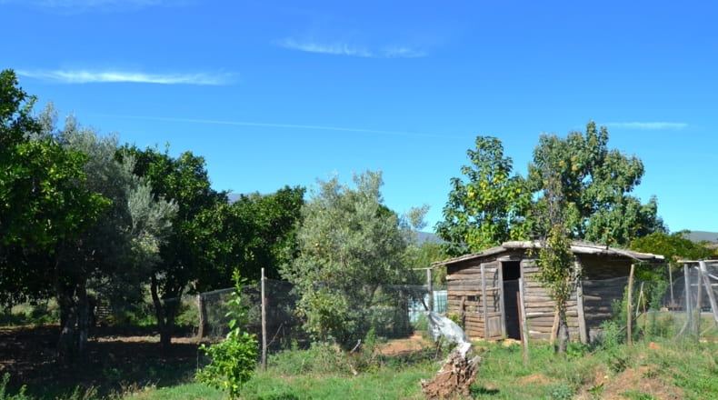 Cáceres - Acebo - 75000m2