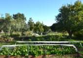 Country house with land for sale on El Tejar n1, Acebo, ref: TR93137 photo