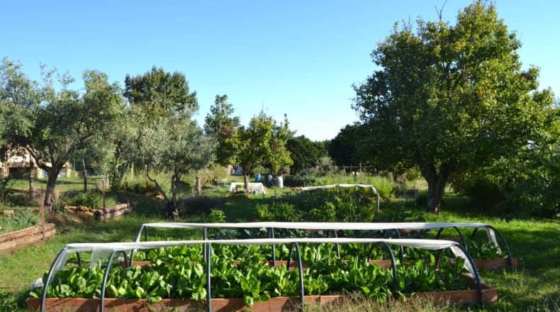 Cáceres - Acebo - 75000m2