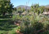 Country house with land for sale on El Tejar n1, Acebo, ref: TR93137 photo