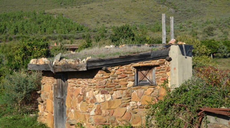 Cáceres - Acebo - 75000m2