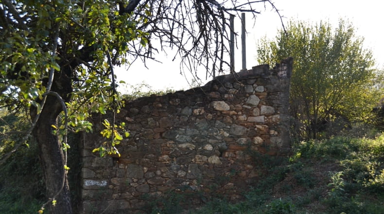 Cáceres - Acebo - 75000m2