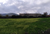 Отдельно стоящий дом с участком на продажу в городе Higuera de las Dueñas Фото
