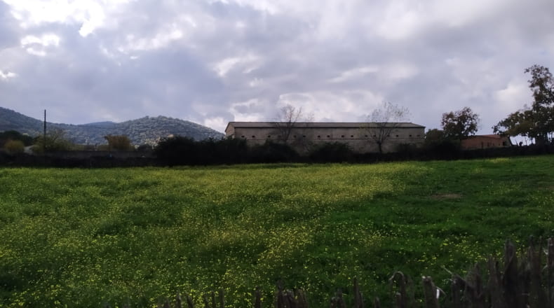 Ávila - Higuera de las Dueñas - 5100m2