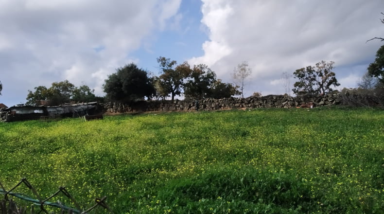 Ávila - Higuera de las Dueñas - 5100m2