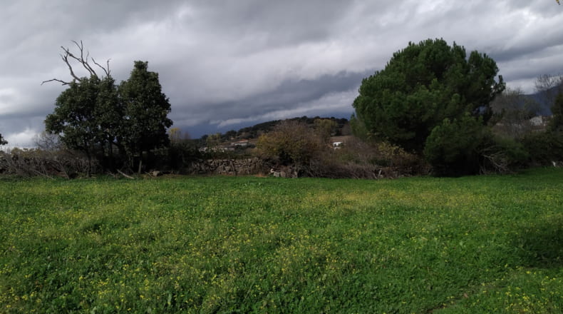 Ávila - Higuera de las Dueñas - 5100m2