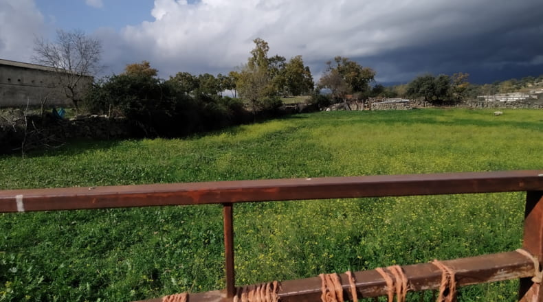 Ávila - Higuera de las Dueñas - 5100m2