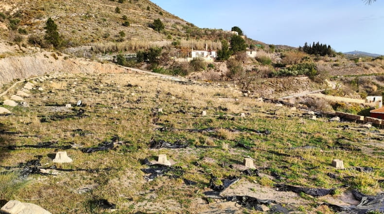 Granada - Vélez de Benaudalla - 18000m2