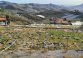 Terreny no urbanitzable en venda a la Camino las Cuevas de Melero, Vélez de Benaudalla, ref.: TR93142 foto